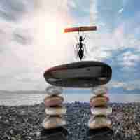 专‌业‍ssl证‍书‍服‌务​器﻿是‍什‌么﻿